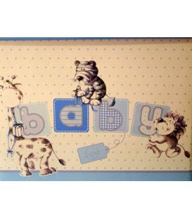 Cutie botez caserata baieti